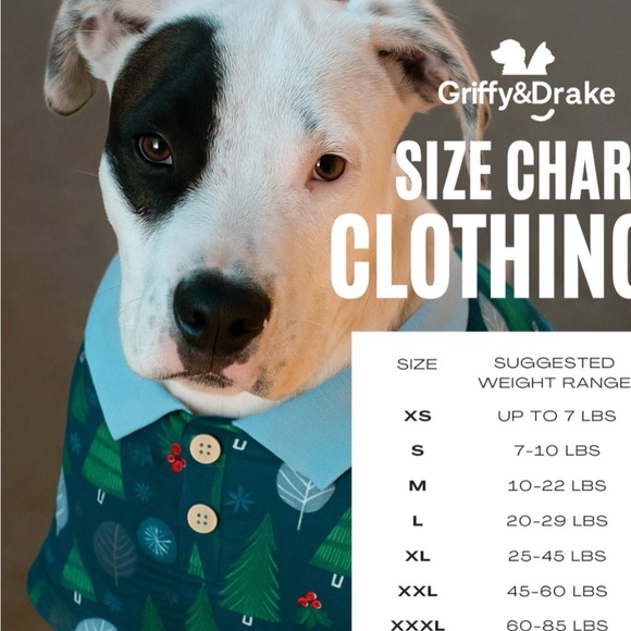 🌈 Rainbow Pet Ruffle Shirt - Picture 2 of 7